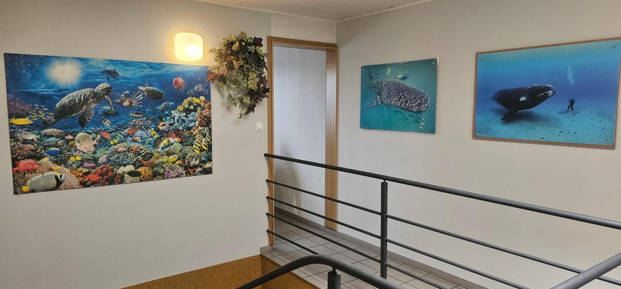 Budziar - Kwatery Nad Morzem Ujście-Darłowskie Extérieur photo